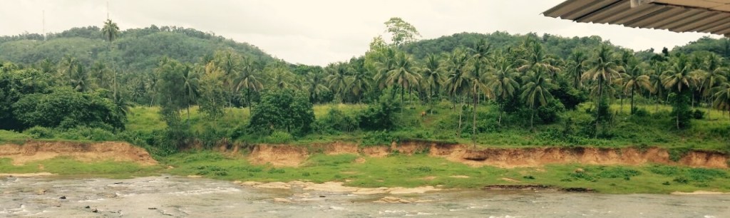 Die Faser aller&nbsp;Dinge