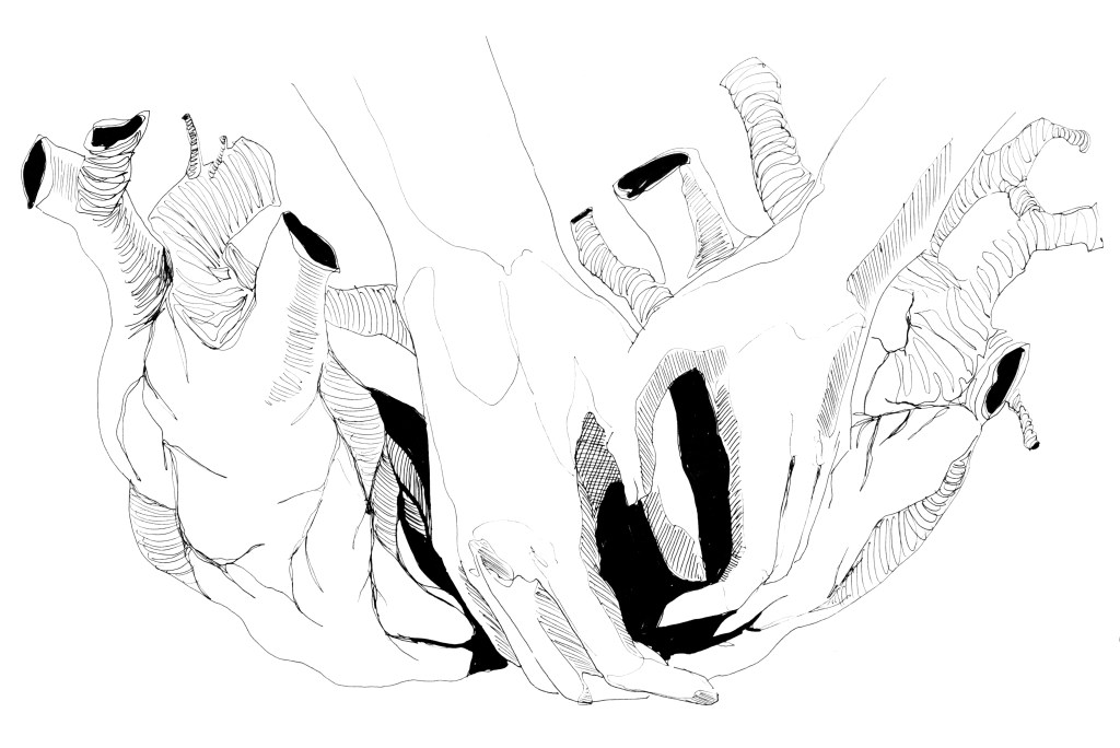 Glatteis – aus dem Lyrikband „Wedafest“