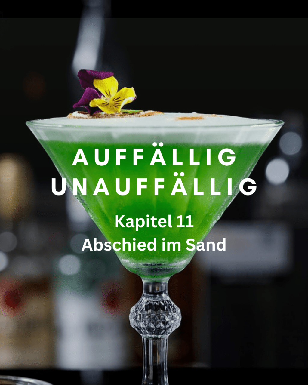 Kapitel 11 – Abschied im Sand
