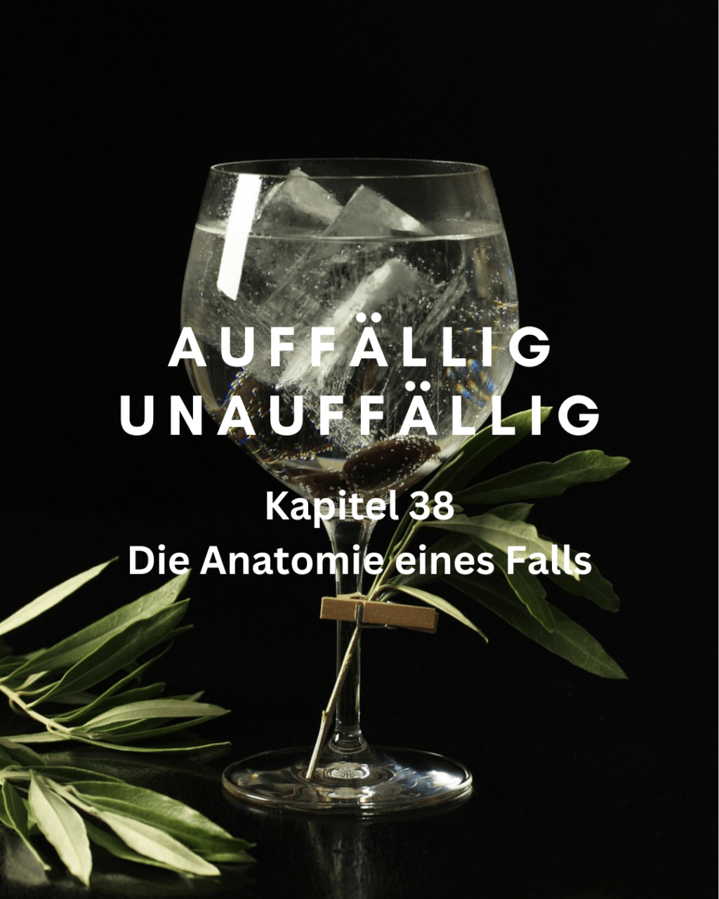 Kapitel 38 – Die Anatomie eines&nbsp;Falls